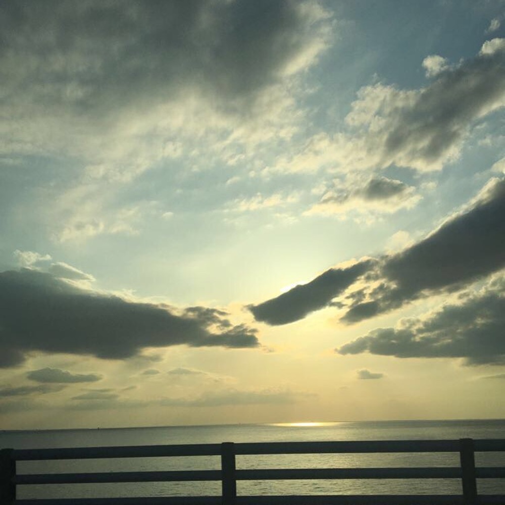 Meet your Posher, Sierra